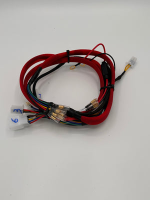 Faisceau electrique simplifié homologué