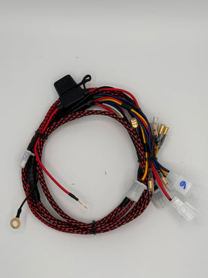 Faisceau electrique simplifié homologué