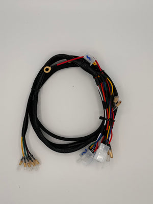 Faisceau electrique simplifié homologué